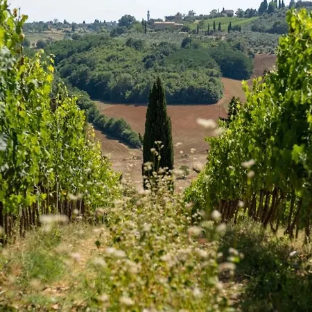 Monacianello - Fontebelvedere Wine Estate Ponte A Bozzone