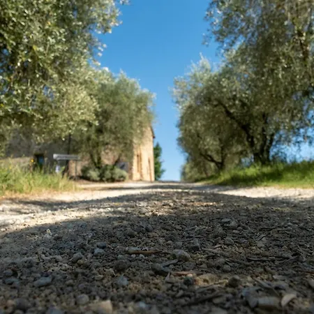Apartahotel Monacianello - Fontebelvedere Wine Estate