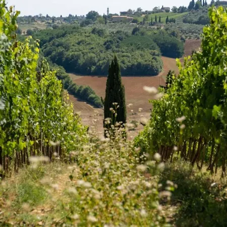 شقة فندقية Monacianello - Fontebelvedere Wine Estate Ponte A Bozzone